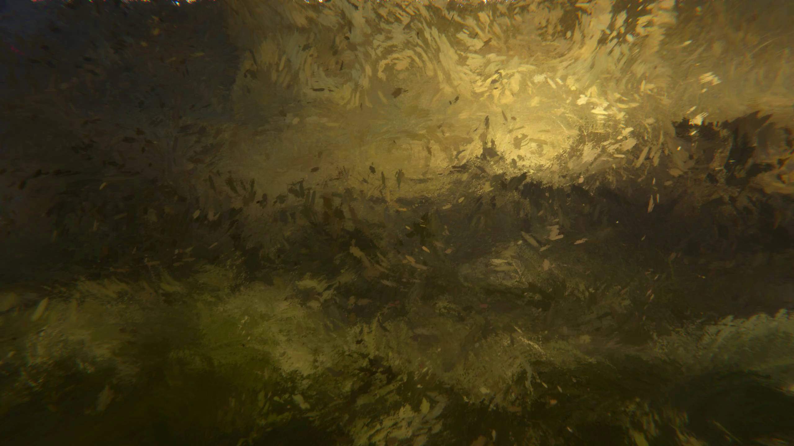 Memory of Turner No.2